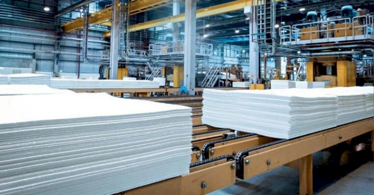 Produção do setor de celulose tem alta de 17,1% no Espírito Santo