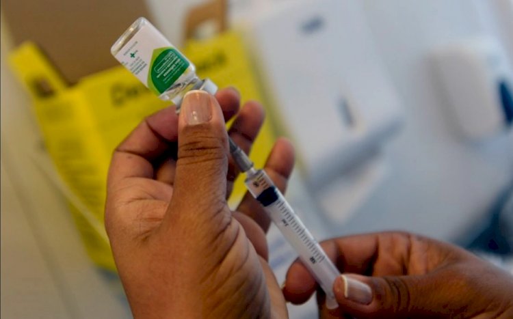 Cidades capixabas podem iniciar vacinação contra Influenza